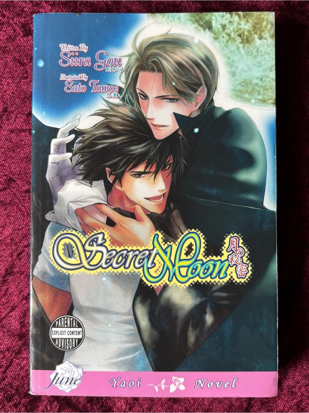 Secret Moon Yaoi Novel